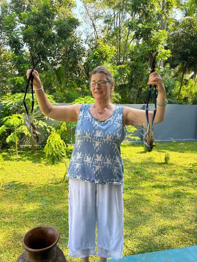 ホテル Amba Kola Udawalawa ウダワラウェ エクステリア 写真
